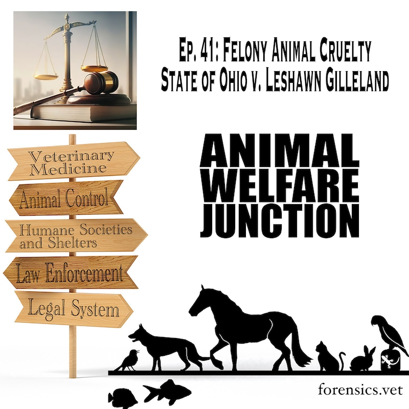 Artwork for podcast The Animal Welfare Junction