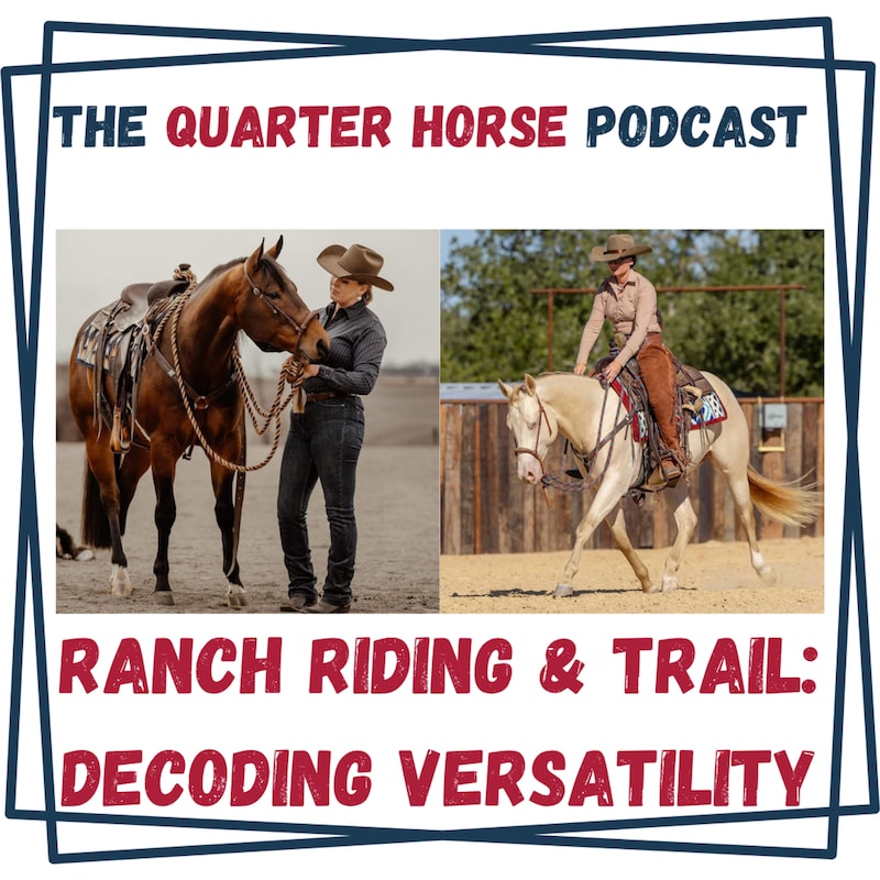 Artwork for podcast The Quarter Horse Podcast