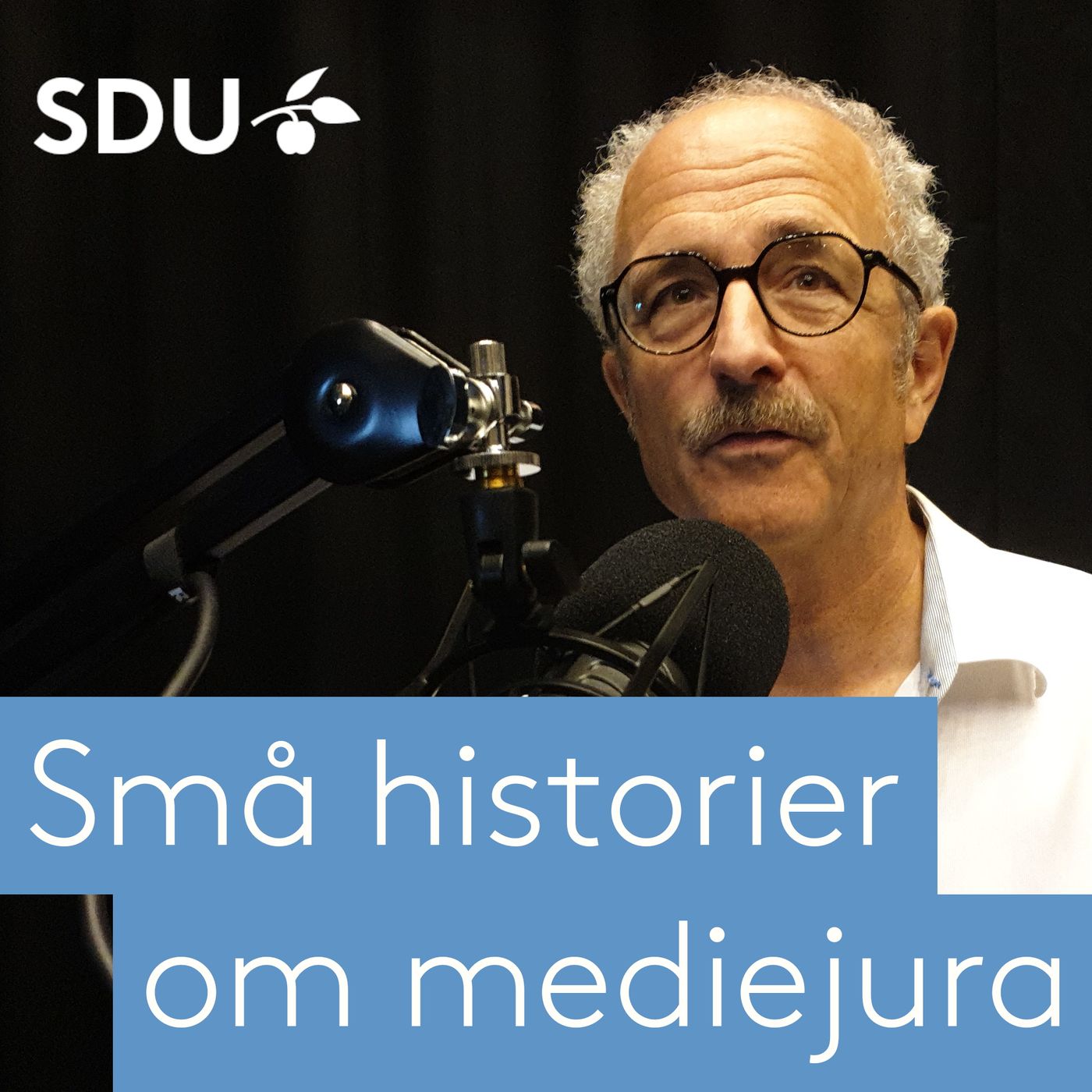 Små historier om mediejura