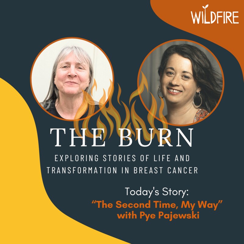 Artwork for podcast The Burn