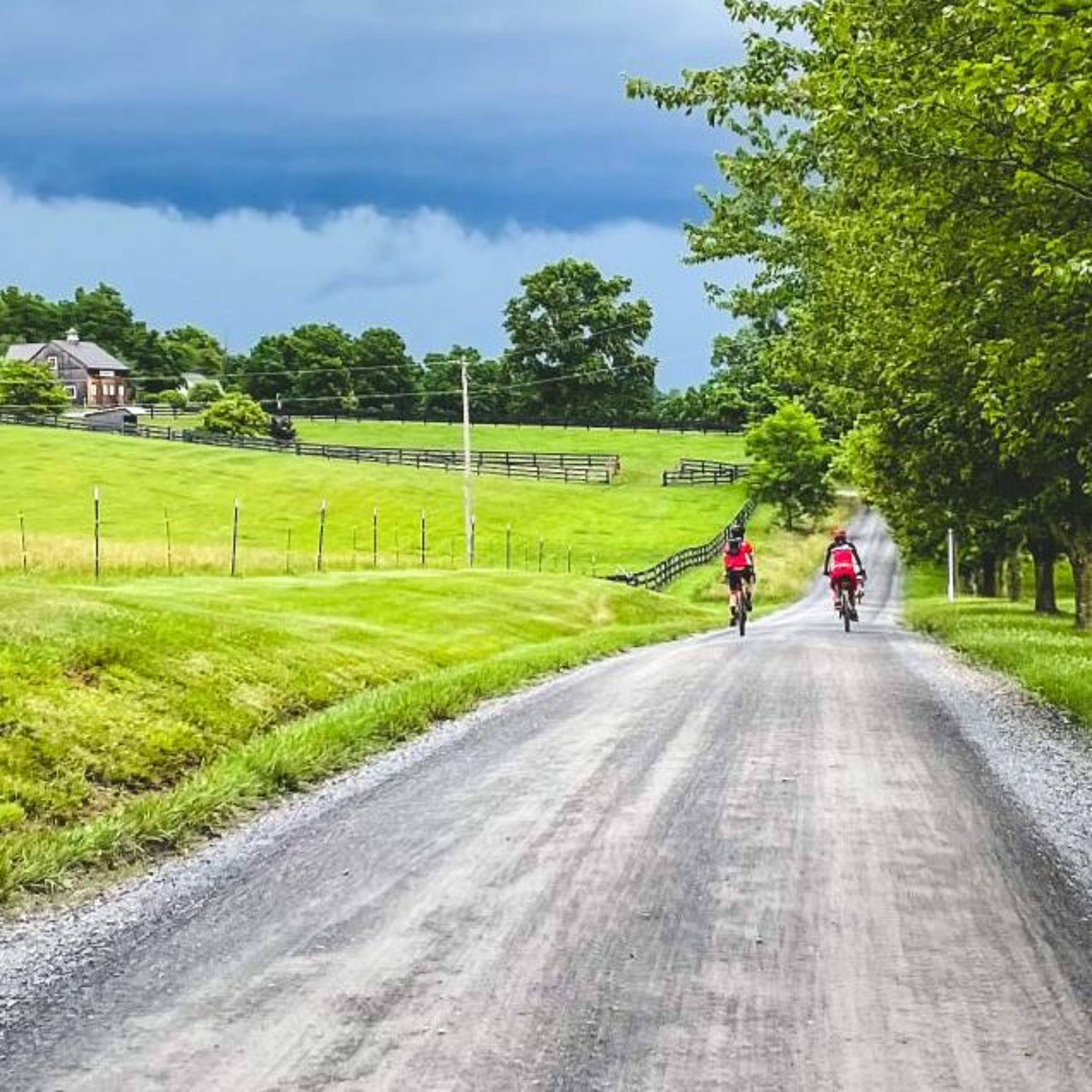 168: Andy Bacon, Loudoun 1725 Gravel Grinder