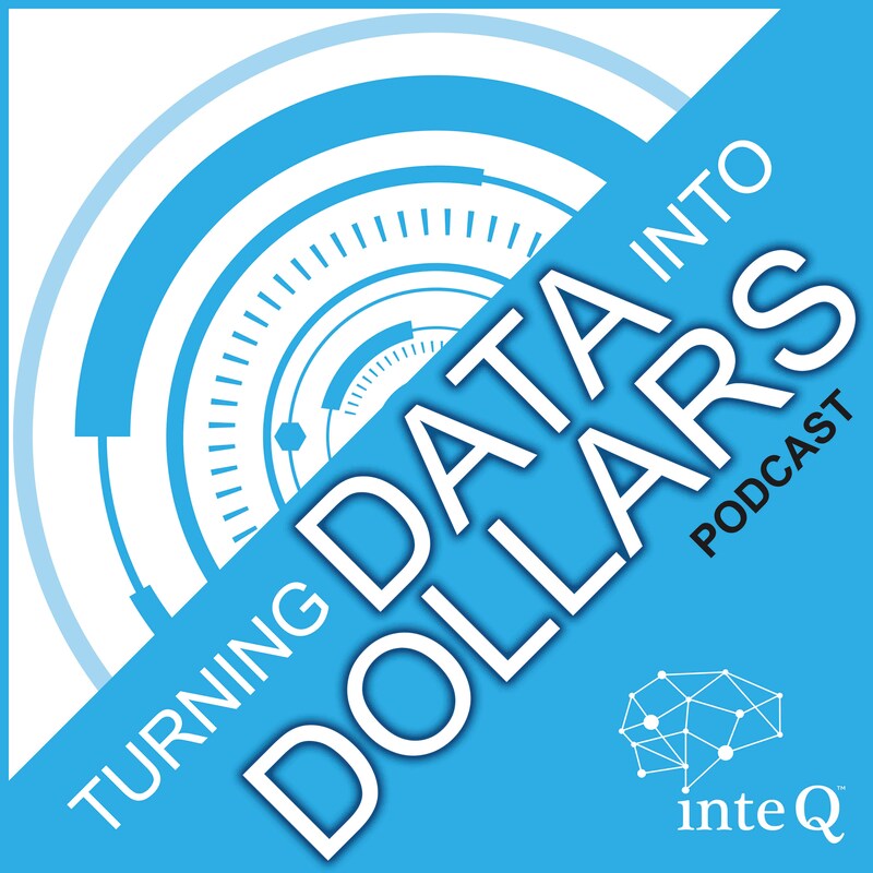 Artwork for podcast Turning Data into Dollars