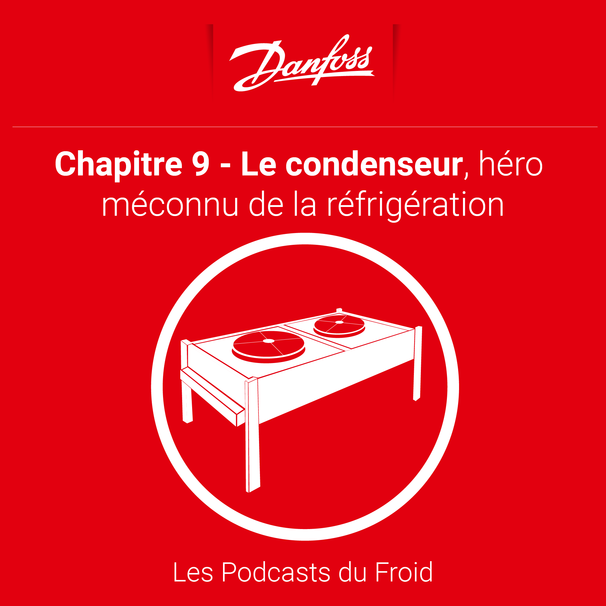 Artwork for podcast Les podcasts du Froid