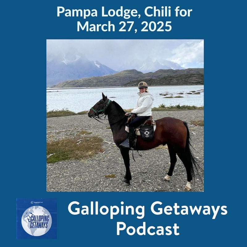 Artwork for podcast Horses in the Morning