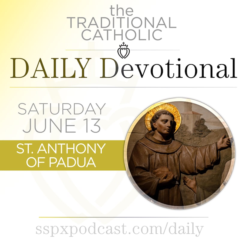 Artwork for podcast Traditional Catholic Daily Devotional