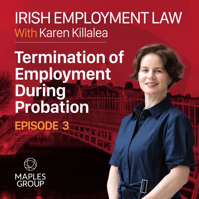 Artwork for podcast Irish Employment Law