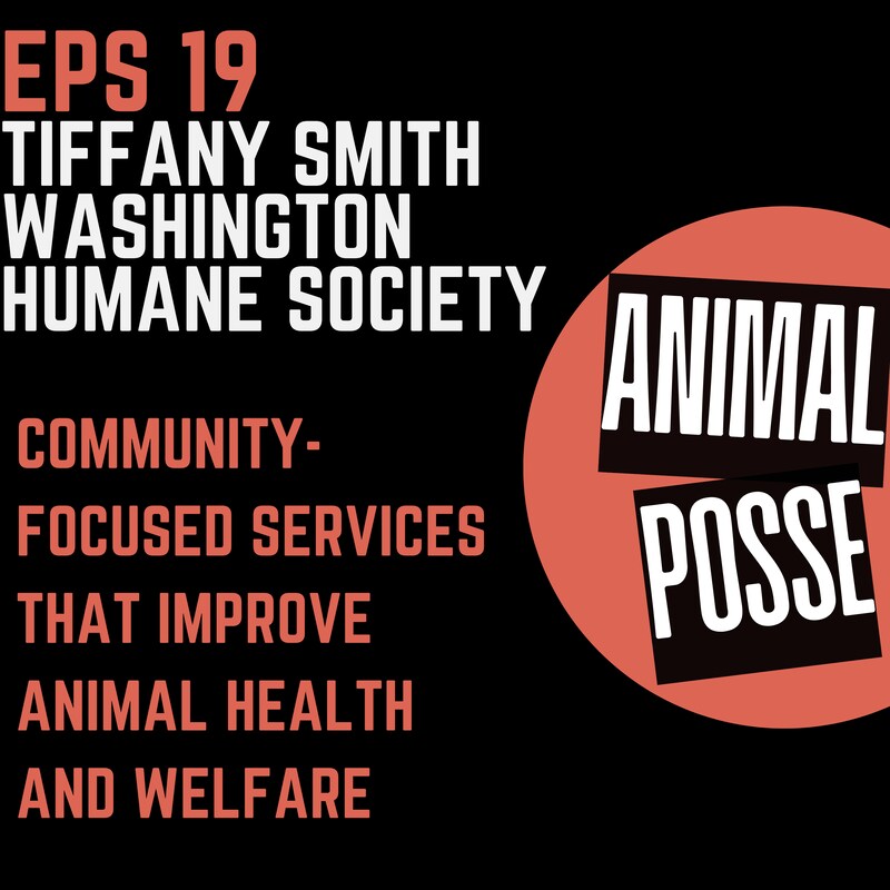 Artwork for podcast Animal Posse