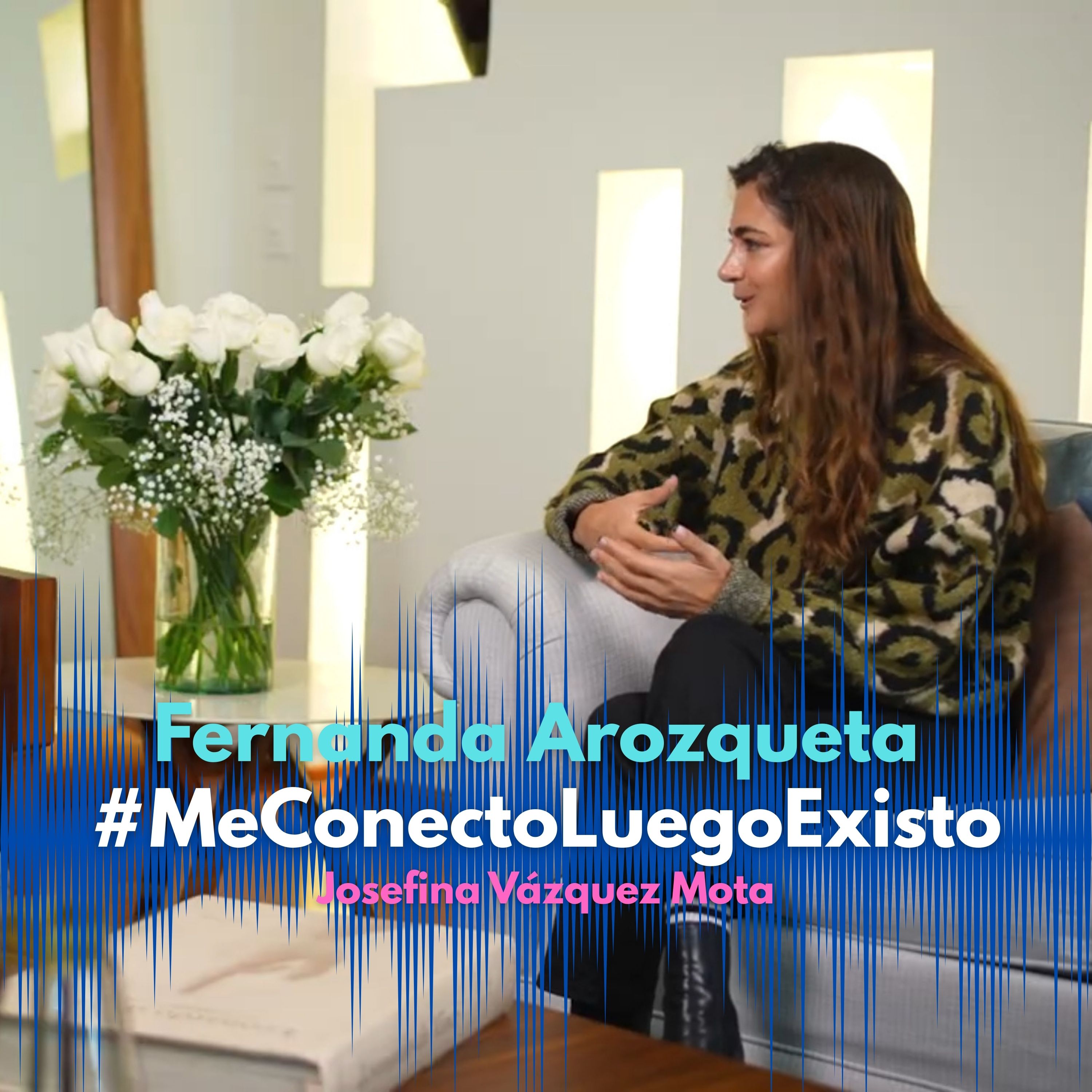 Conectados pero vulnerables con Fernanda Arozqueta episode artwork
