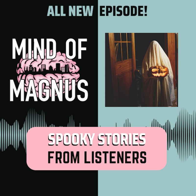 Artwork for podcast Mind Of Magnus