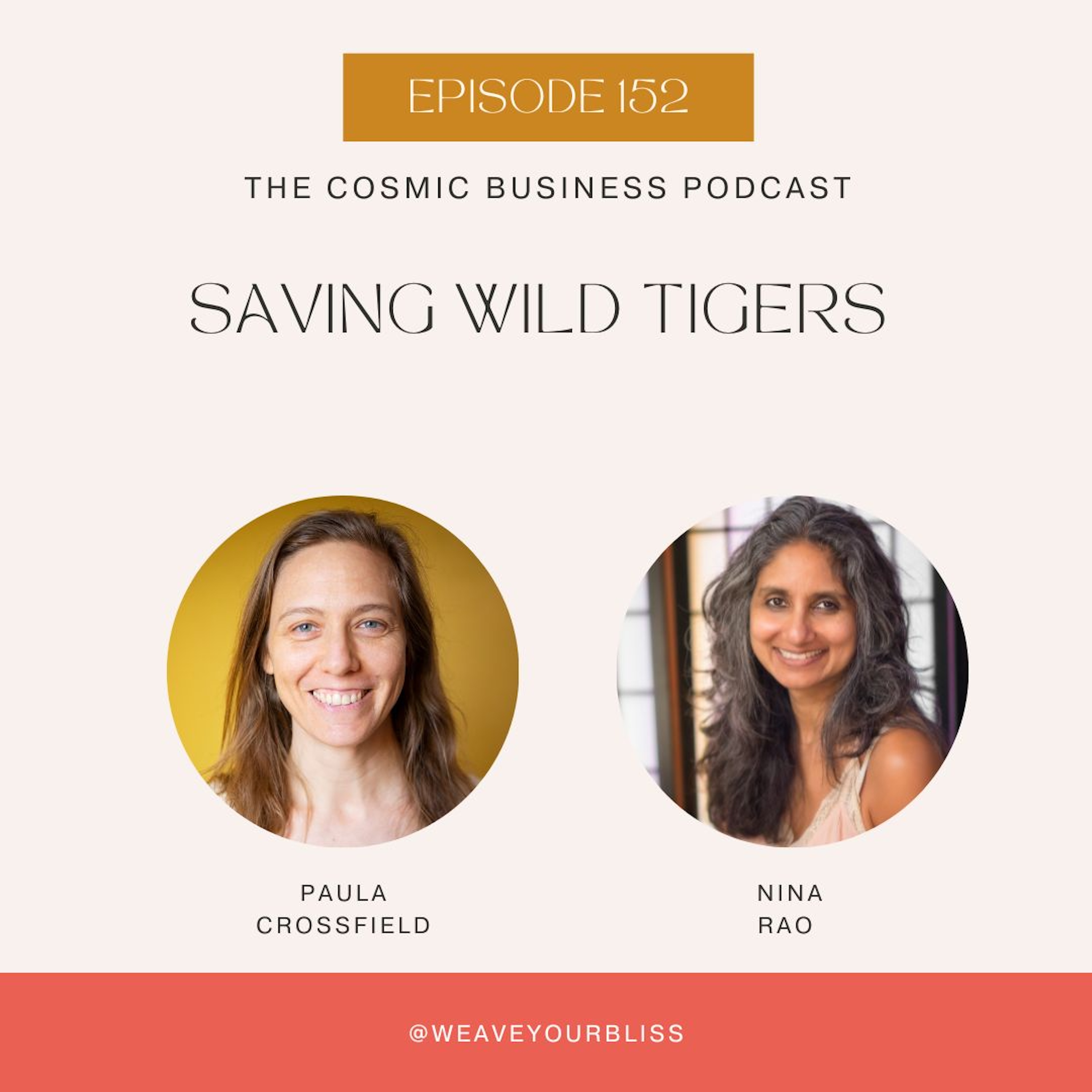 The Cosmic Business Podcast