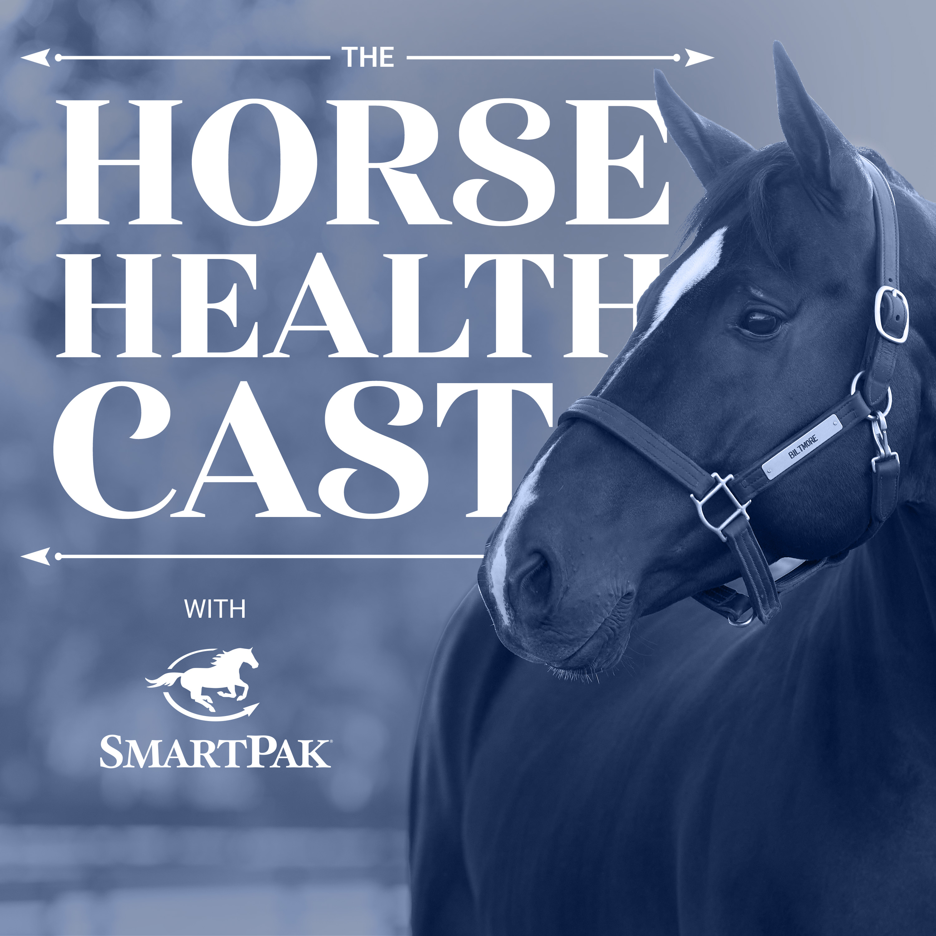 Artwork for The Horse HealthCast with SmartPak