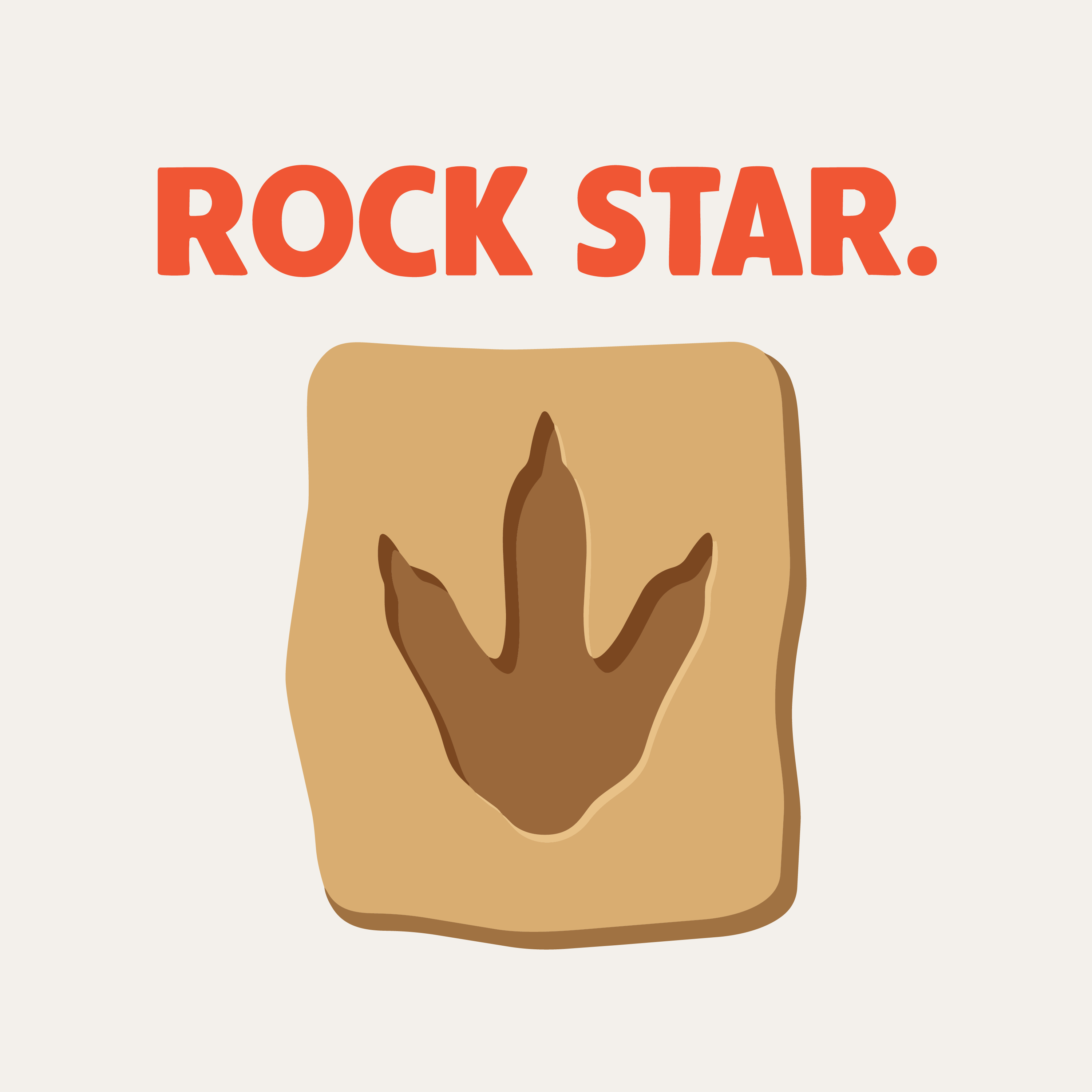 Okay, but what makes a bird… a bird? Hint: Dinosaurs!