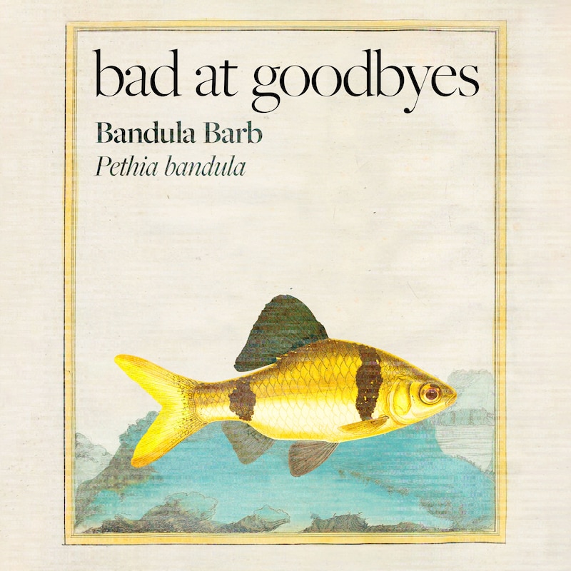 Artwork for podcast Bad at Goodbyes