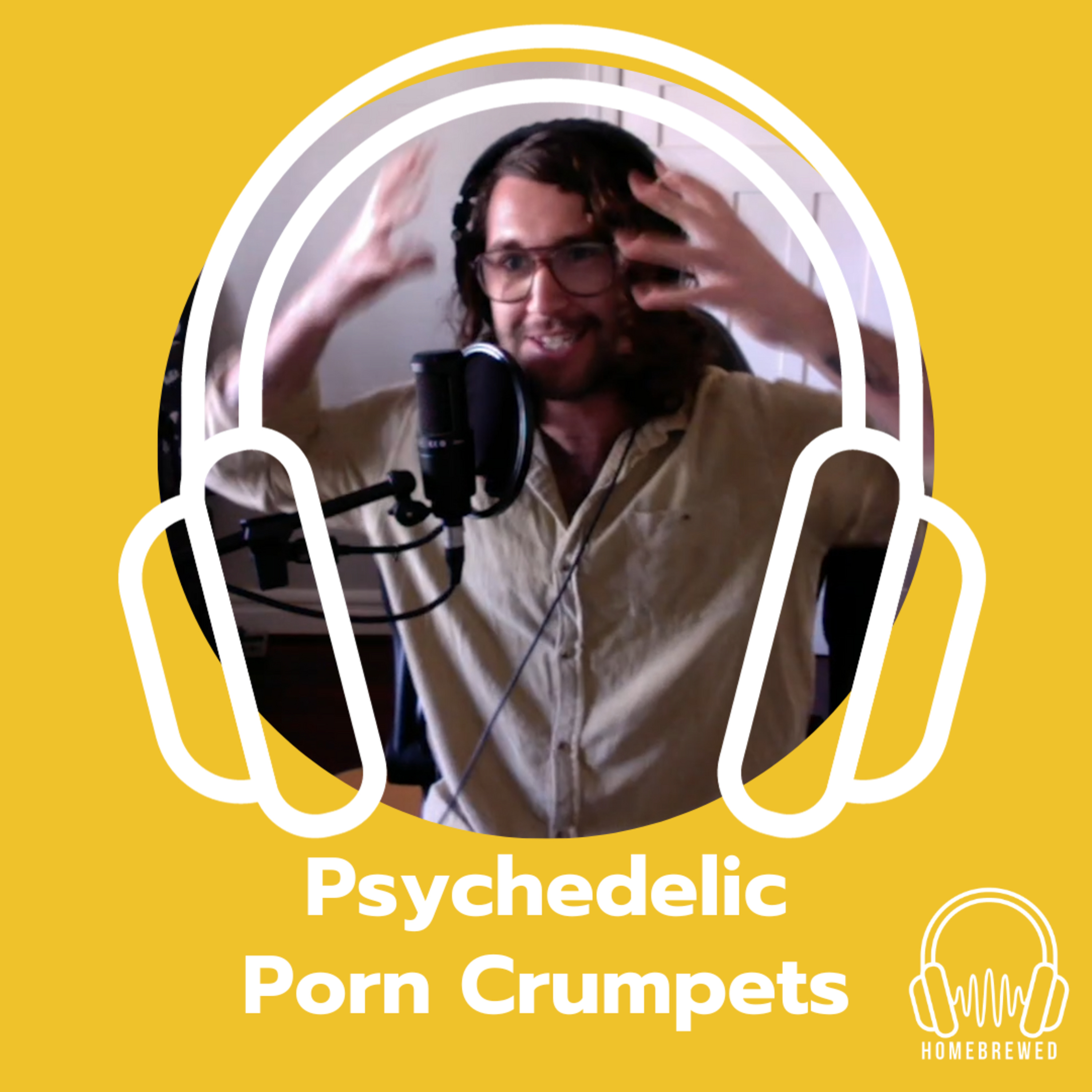 Psychedelic Porn Crumpets Interview III episode artwork