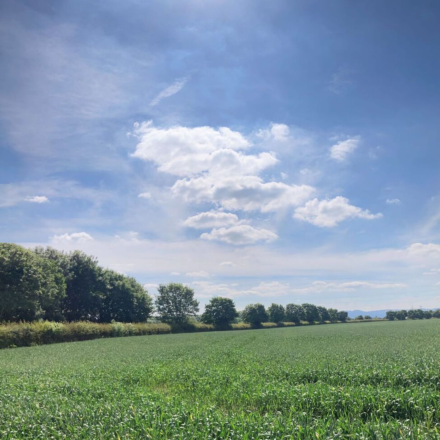 AHDB Food & Farming