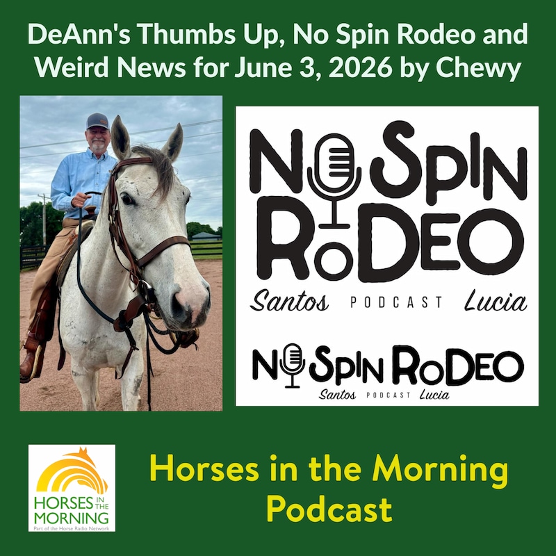 Artwork for podcast Horses in the Morning
