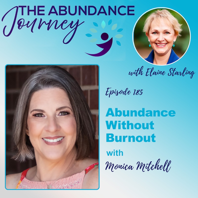 Artwork for podcast The Abundance Journey: Accelerating Revenue With An Abundance Mindset