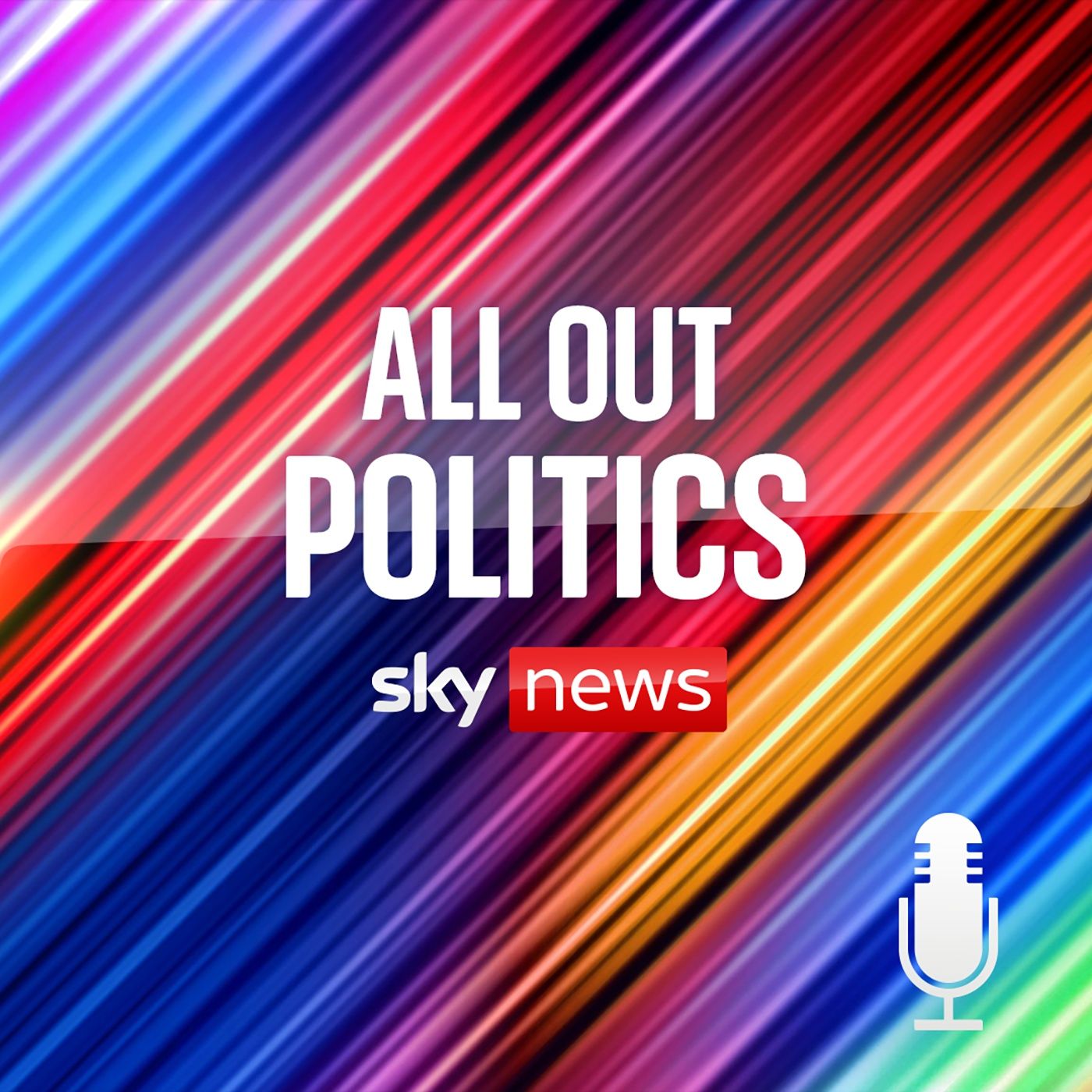 Political review of 2020