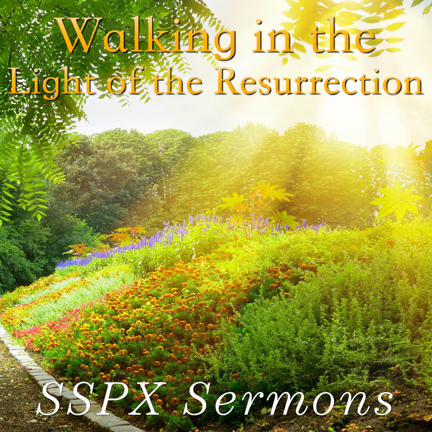 Walking in the Light of the Resurrection - SSPX Sermons