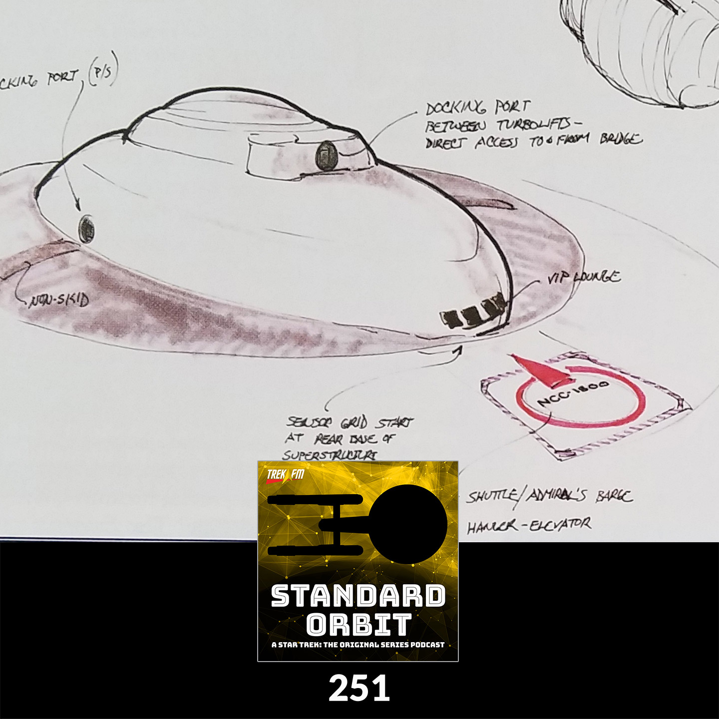 251: Almost an Entirely New Enterprise? episode artwork