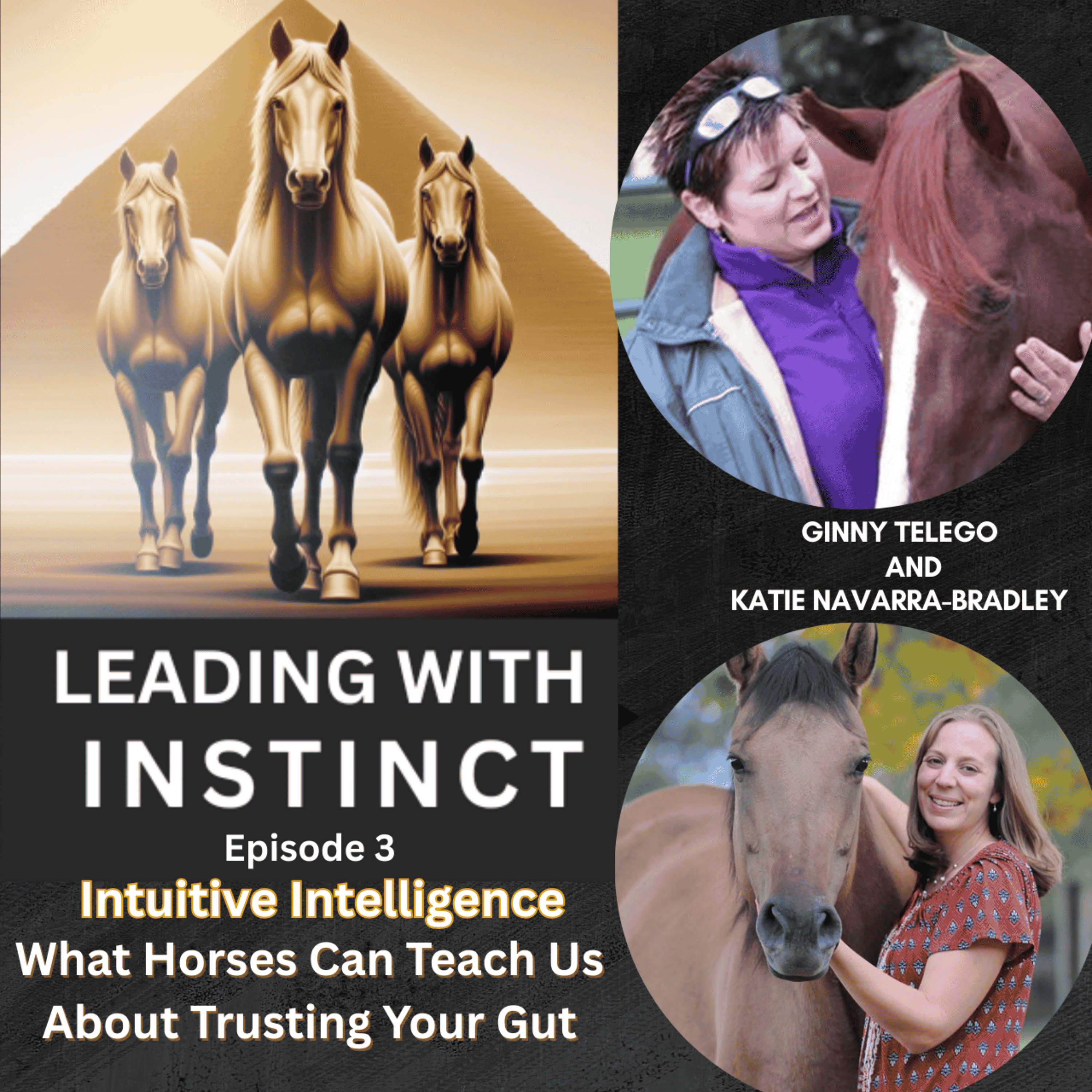 Intuitive Intelligence: What Horses Can Teach About Trusting Your Gut episode artwork