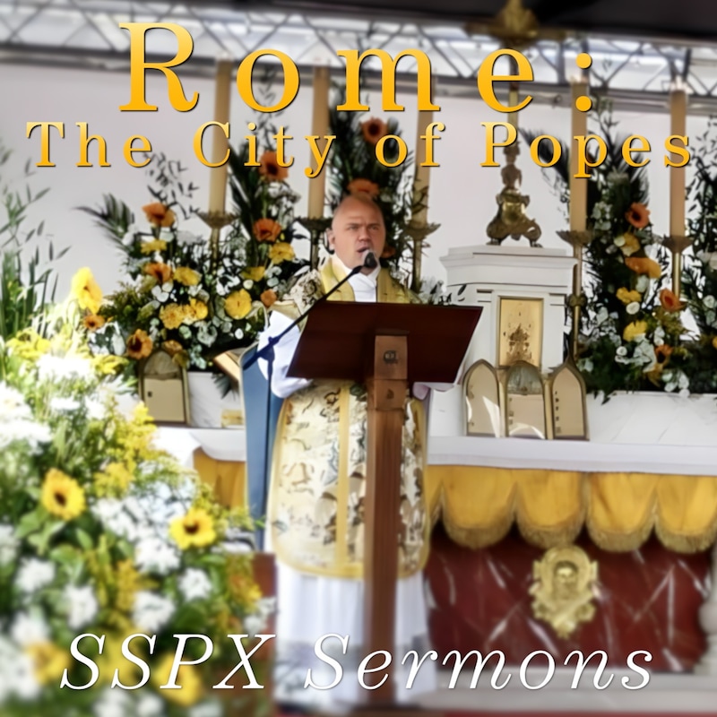 Artwork for podcast SSPX Sermons