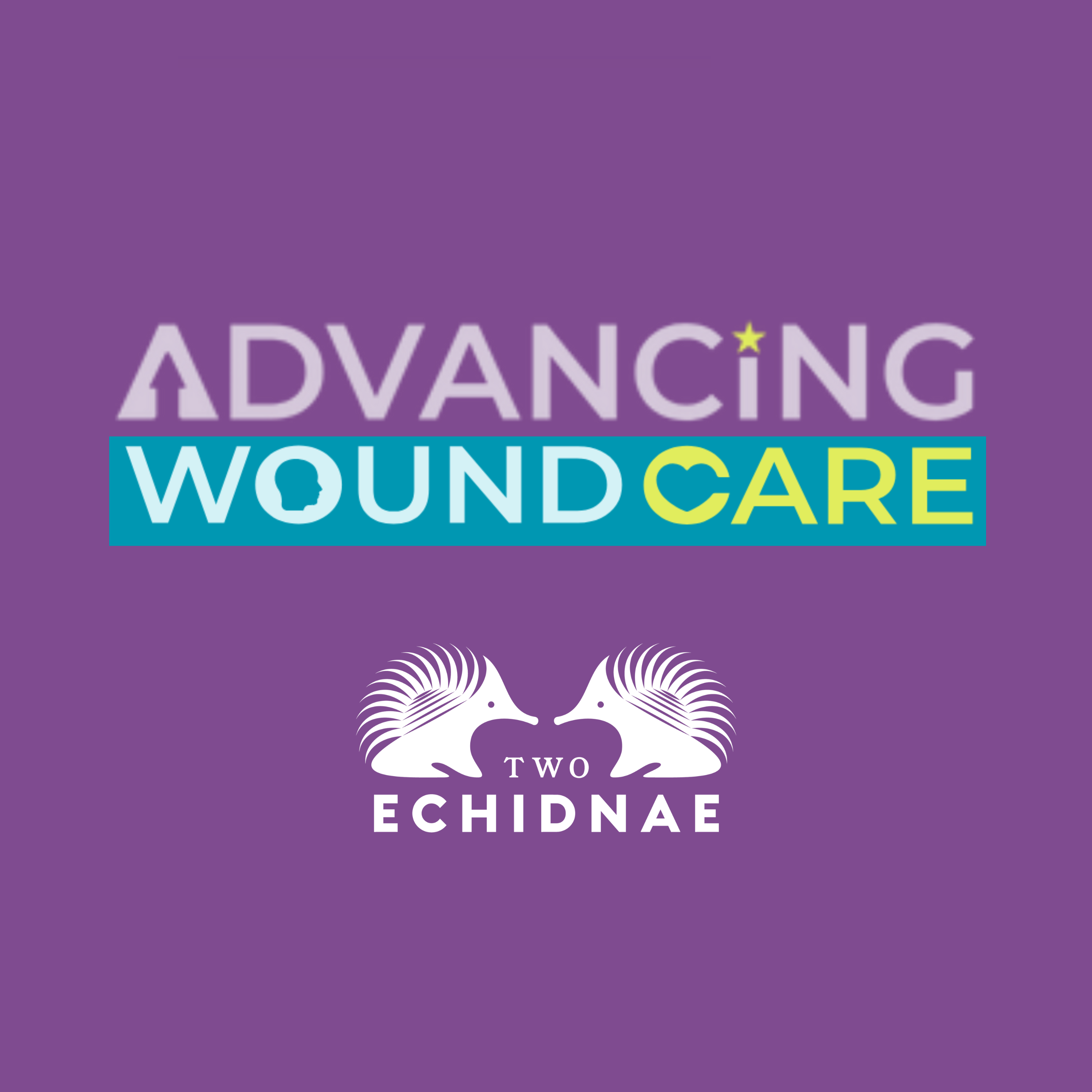 Two Echidnae Podcast from Advancing Wound Care