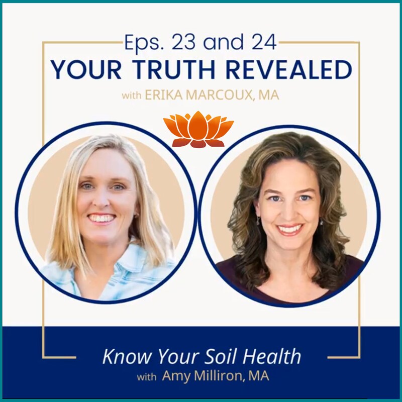 Artwork for podcast Your Truth Revealed: Healing Fatigue and Lyme