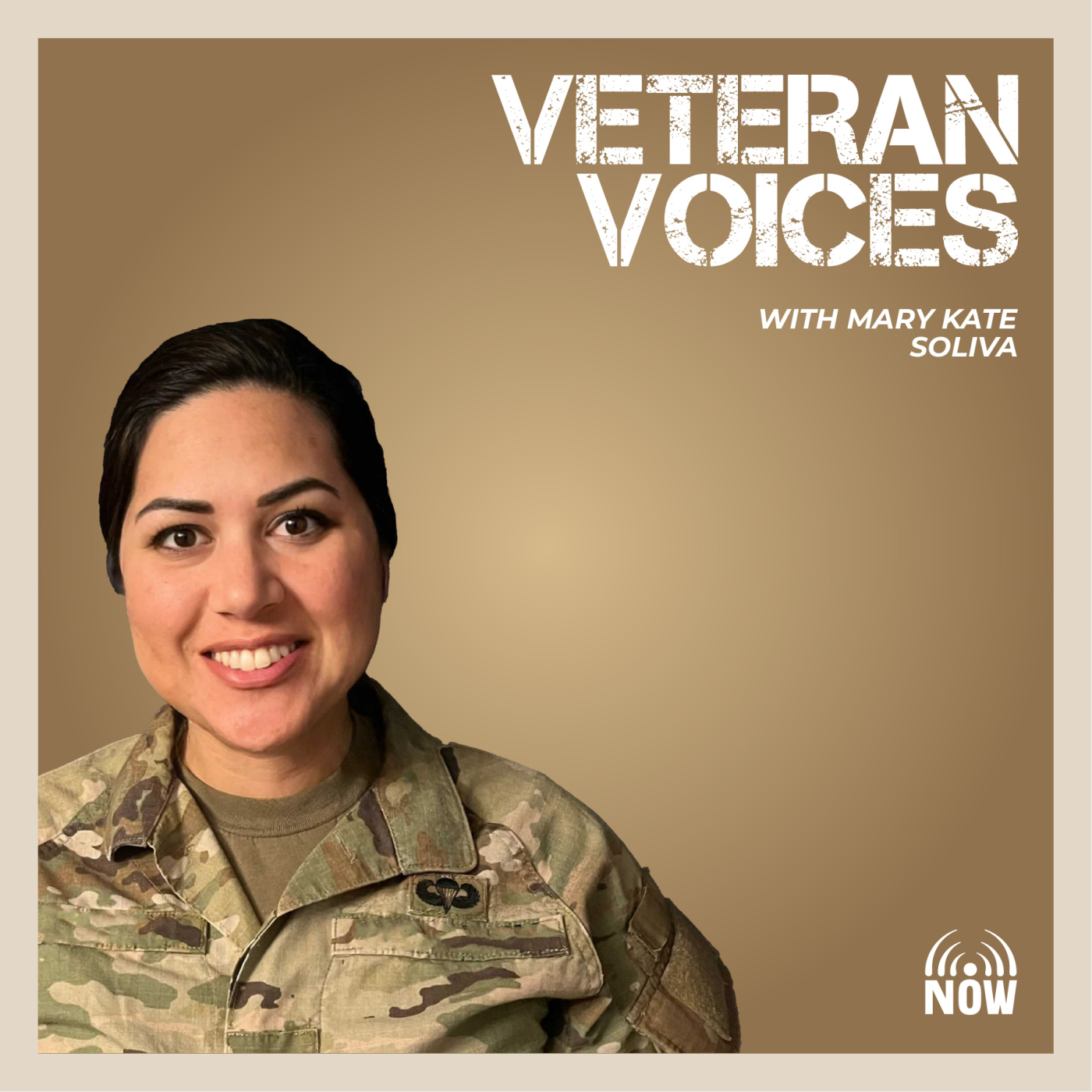 Artwork for Veteran Voices