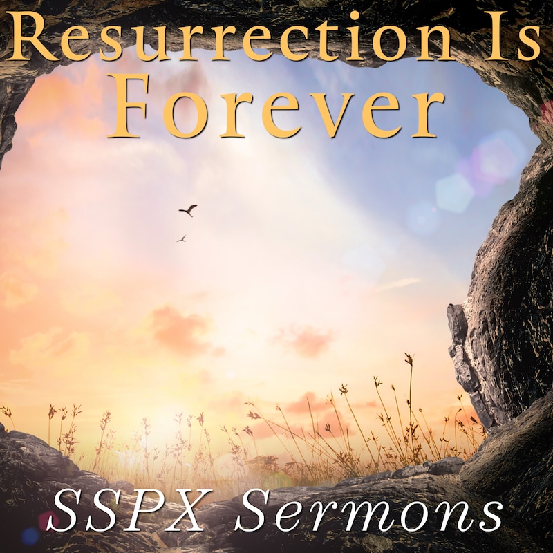Artwork for podcast SSPX Sermons
