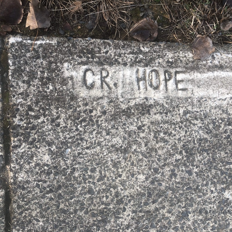 Artwork for podcast Raglan Talking to Raglan