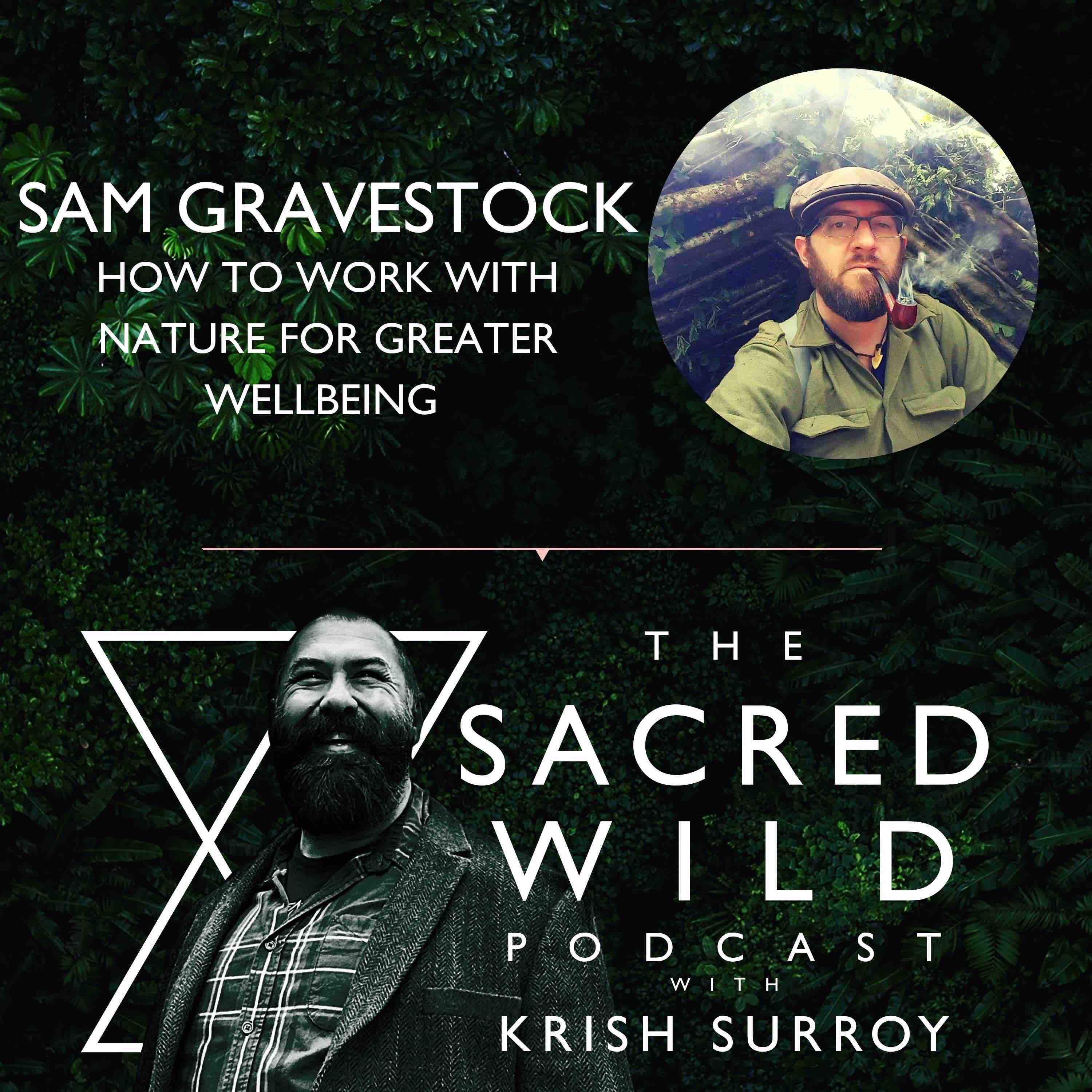 Artwork for podcast The Sacred Wild Podcast