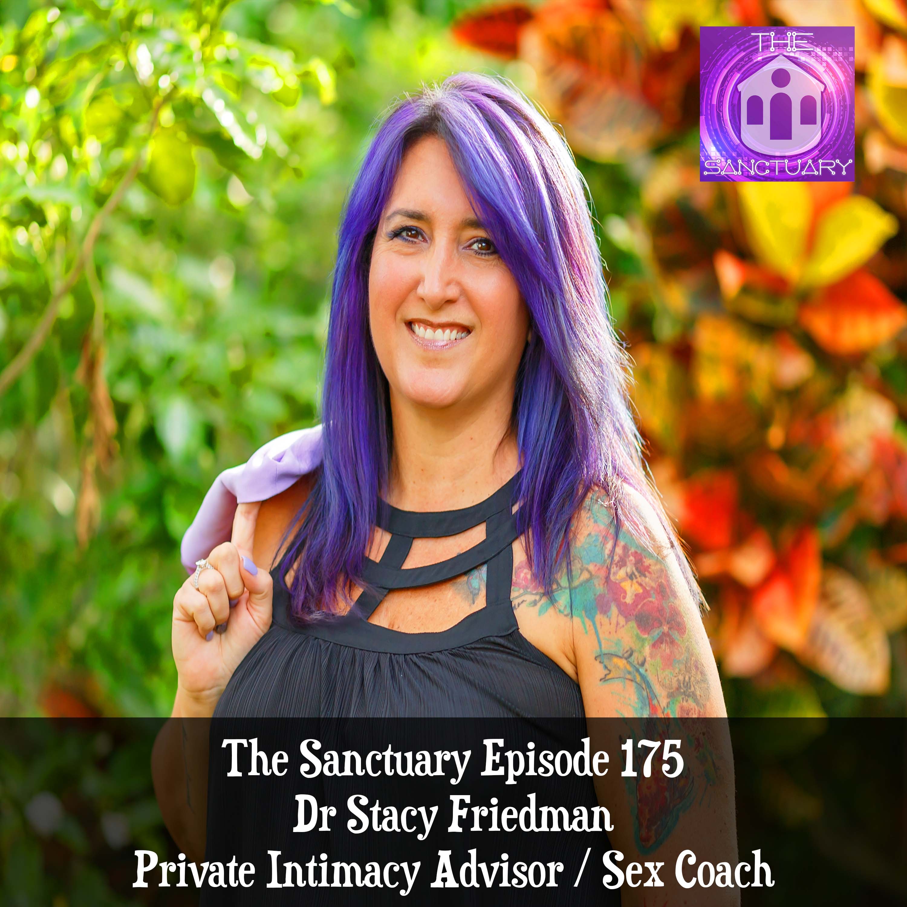 Dr Stacy Friedman - Private Intimacy Advisor / Sex Coach episode artwork