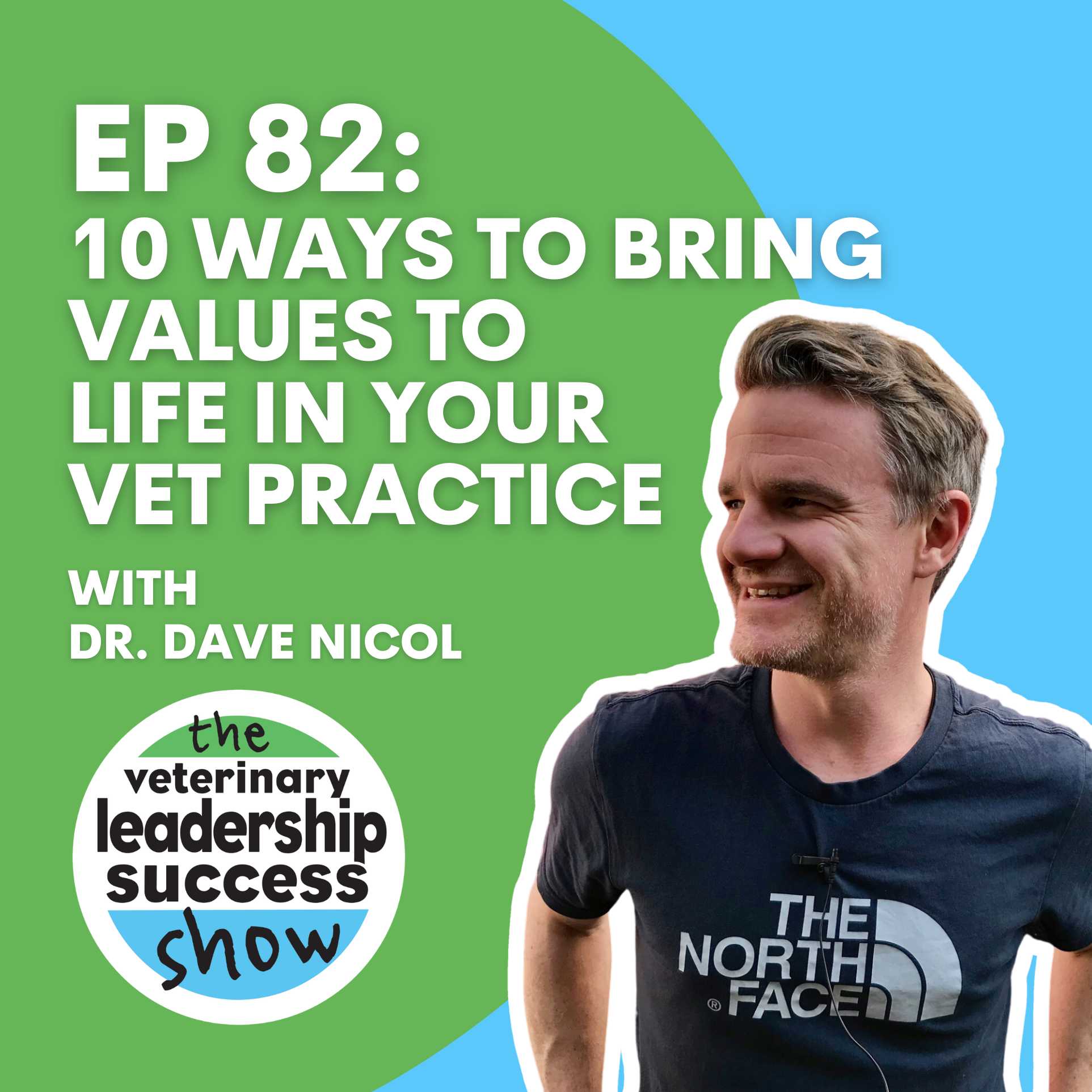 Ep 82: 10 Ways To Bring Values To Life in Your Vet Practice