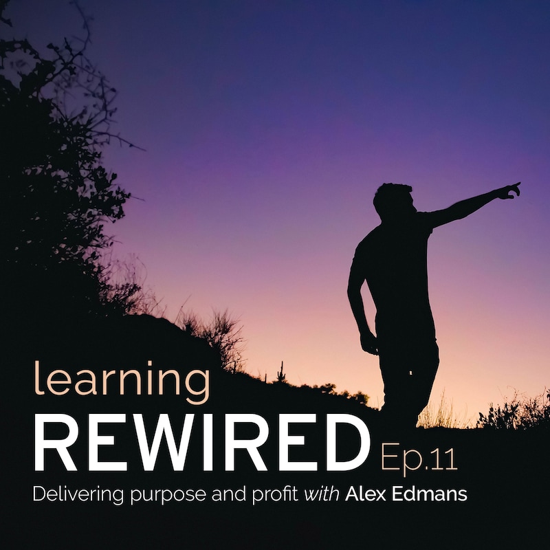 Artwork for podcast Executive Learning REWIRED