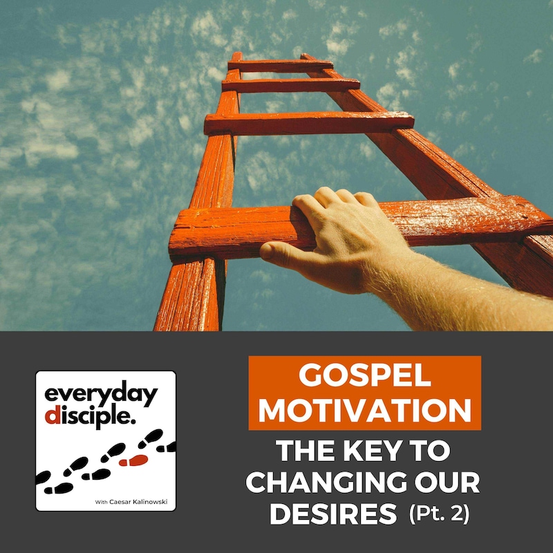 Artwork for podcast Everyday Disciple Podcast