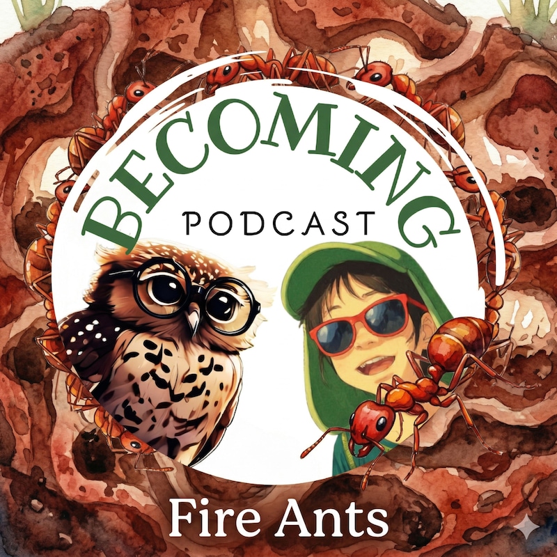 Artwork for podcast Becoming Podcast