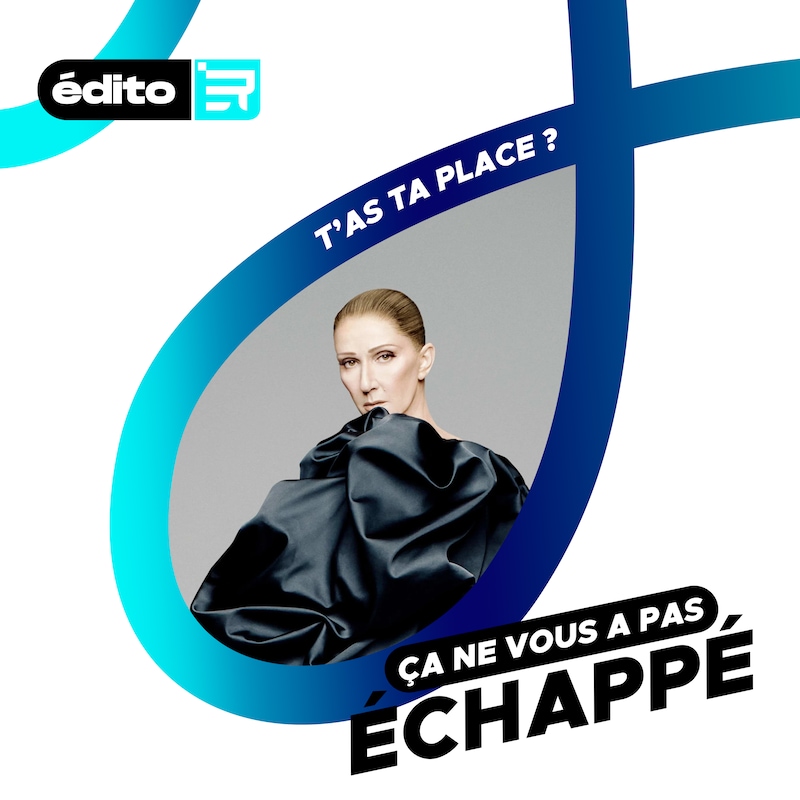 Artwork for podcast Ça ne vous a pas échappé !