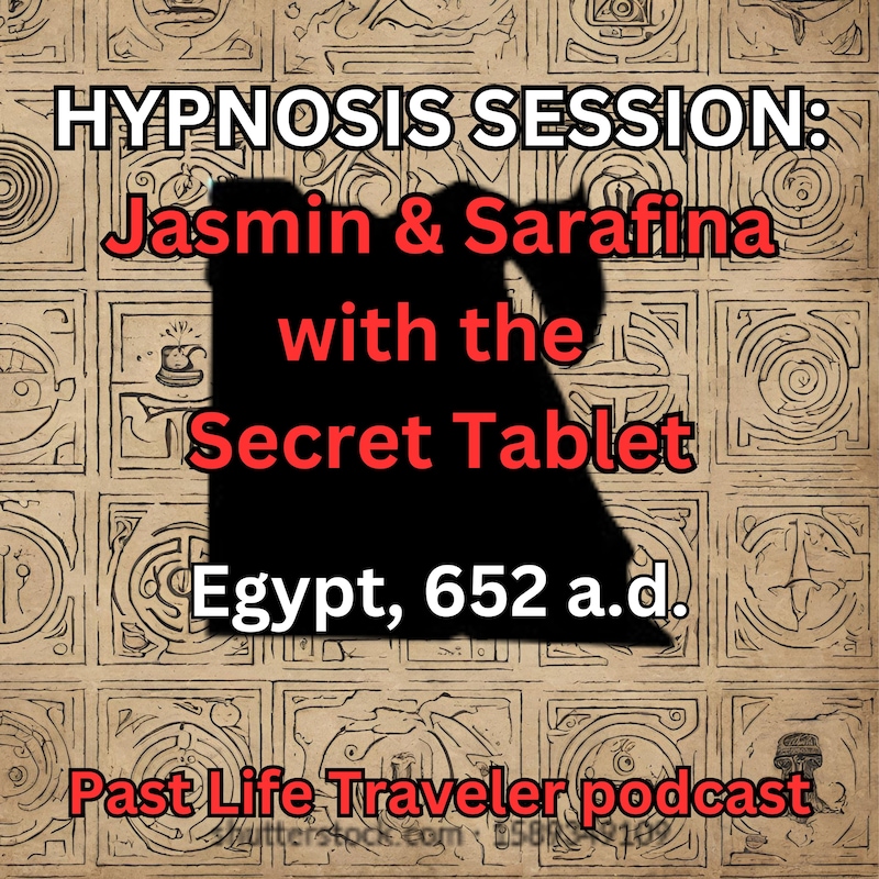 Artwork for podcast Past Life Traveler