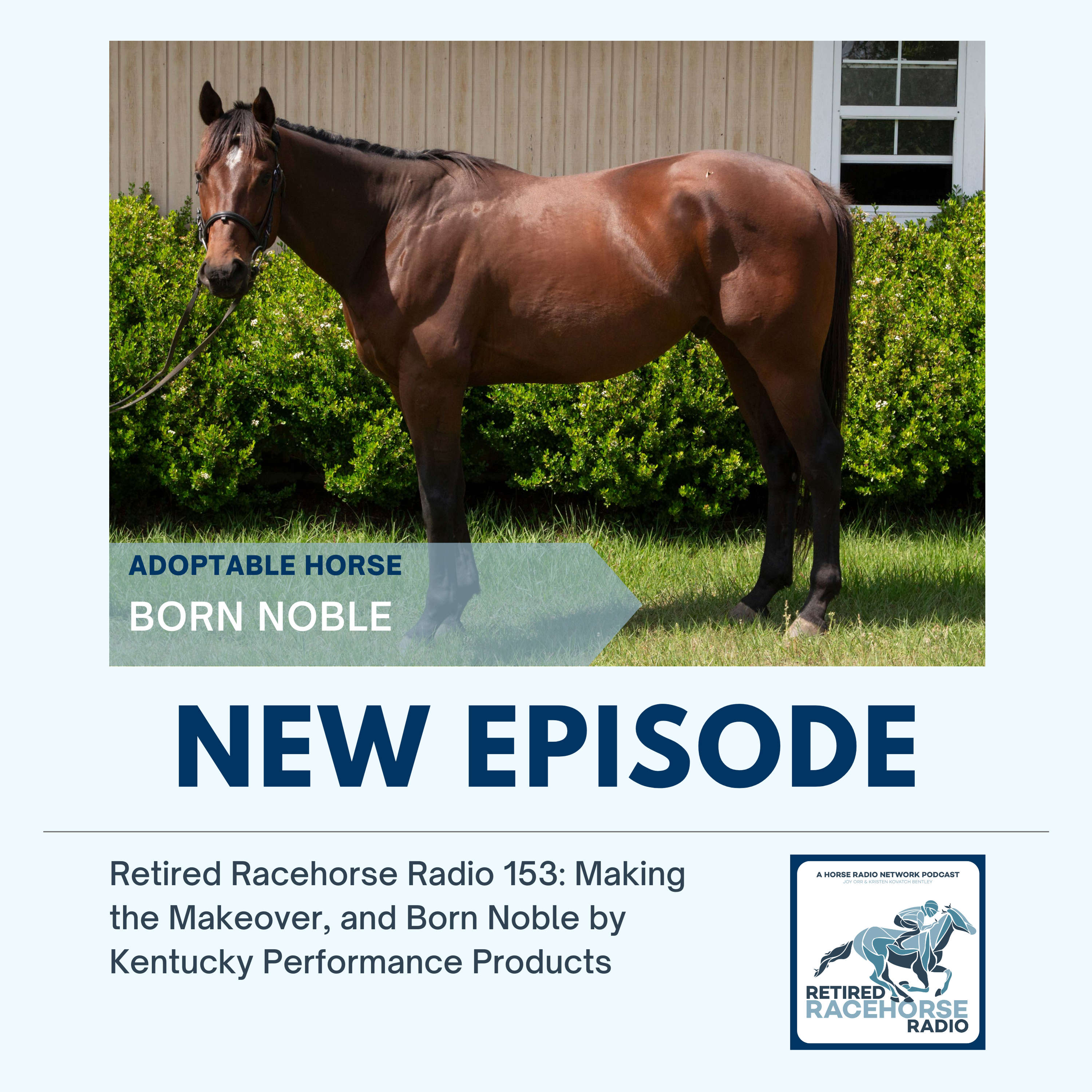 Making the Makeover and Born Noble by Kentucky Performance Products - Retired Racehorse Radio