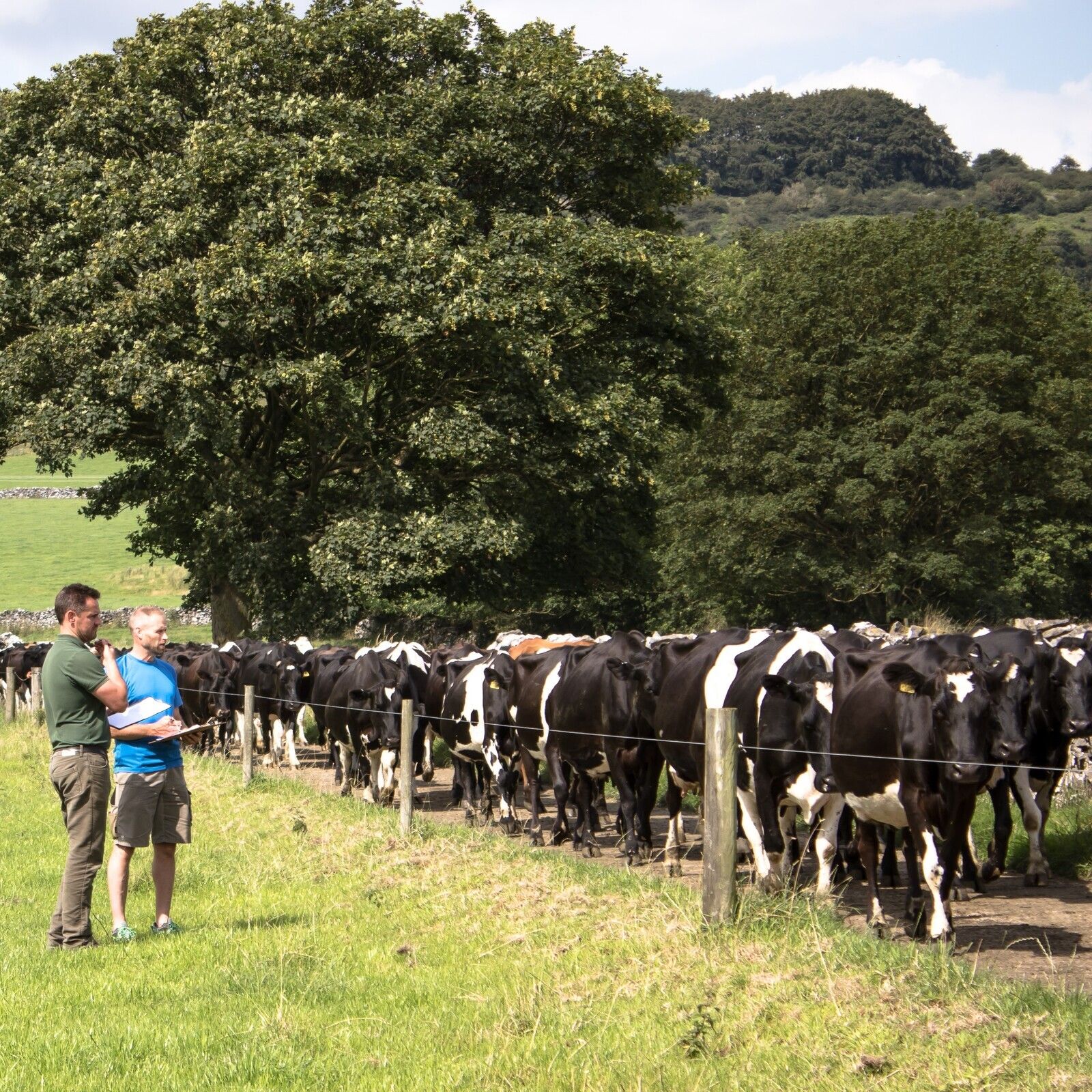 AHDB Food & Farming