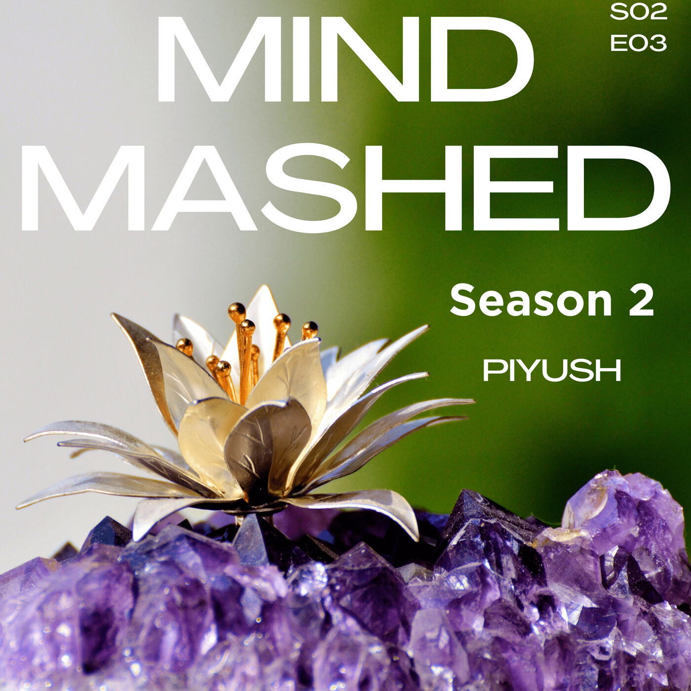 Mind Mashed - A Transformative Mindfulness & 5D Spirituality Podcast