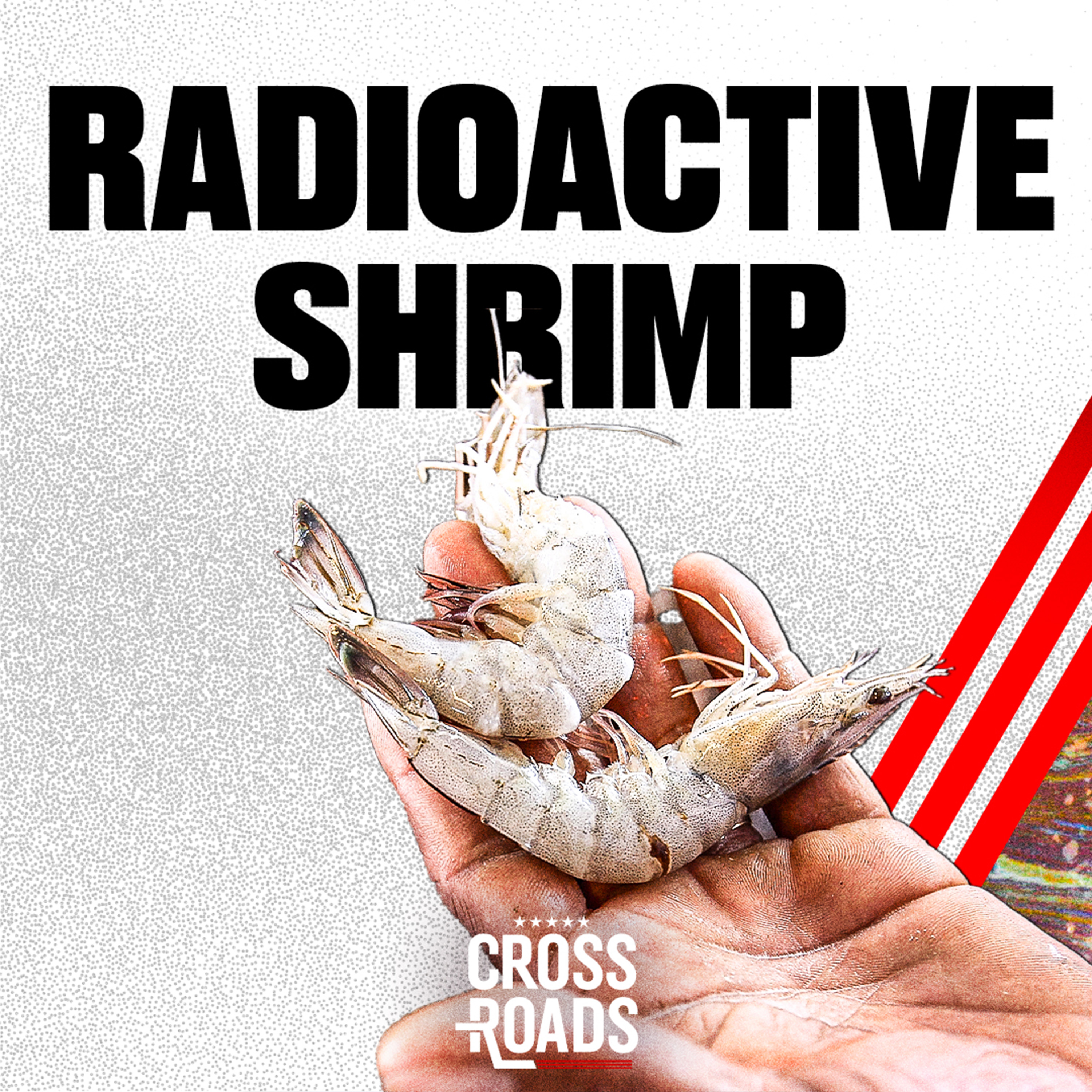 FDA Warns of Radioactive Shrimp Sold At Walmart