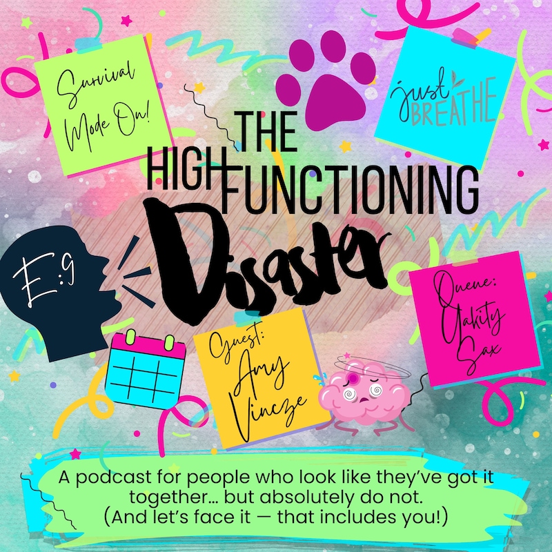 Artwork for podcast The High-Functioning Disaster