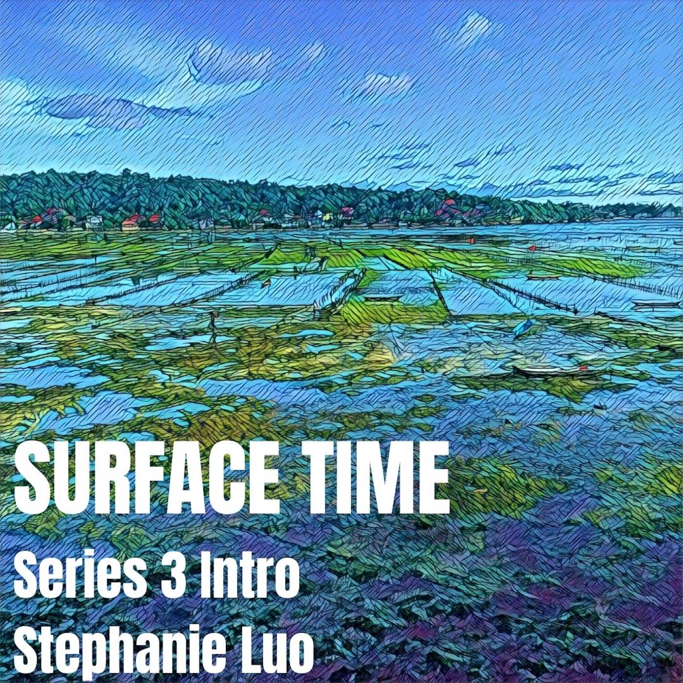 Artwork for podcast Surface Time with Stephanie