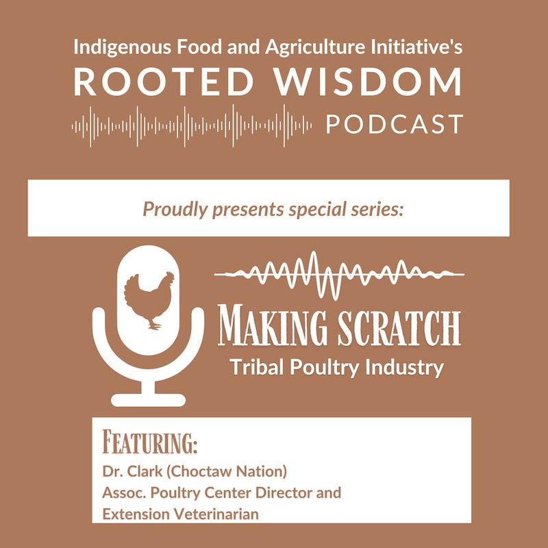 Artwork for podcast Rooted Wisdom: Exploring Tribal Agriculture