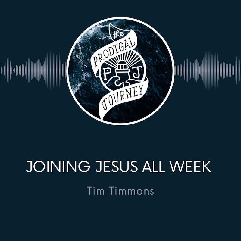 Artwork for podcast The Prodigal Journey