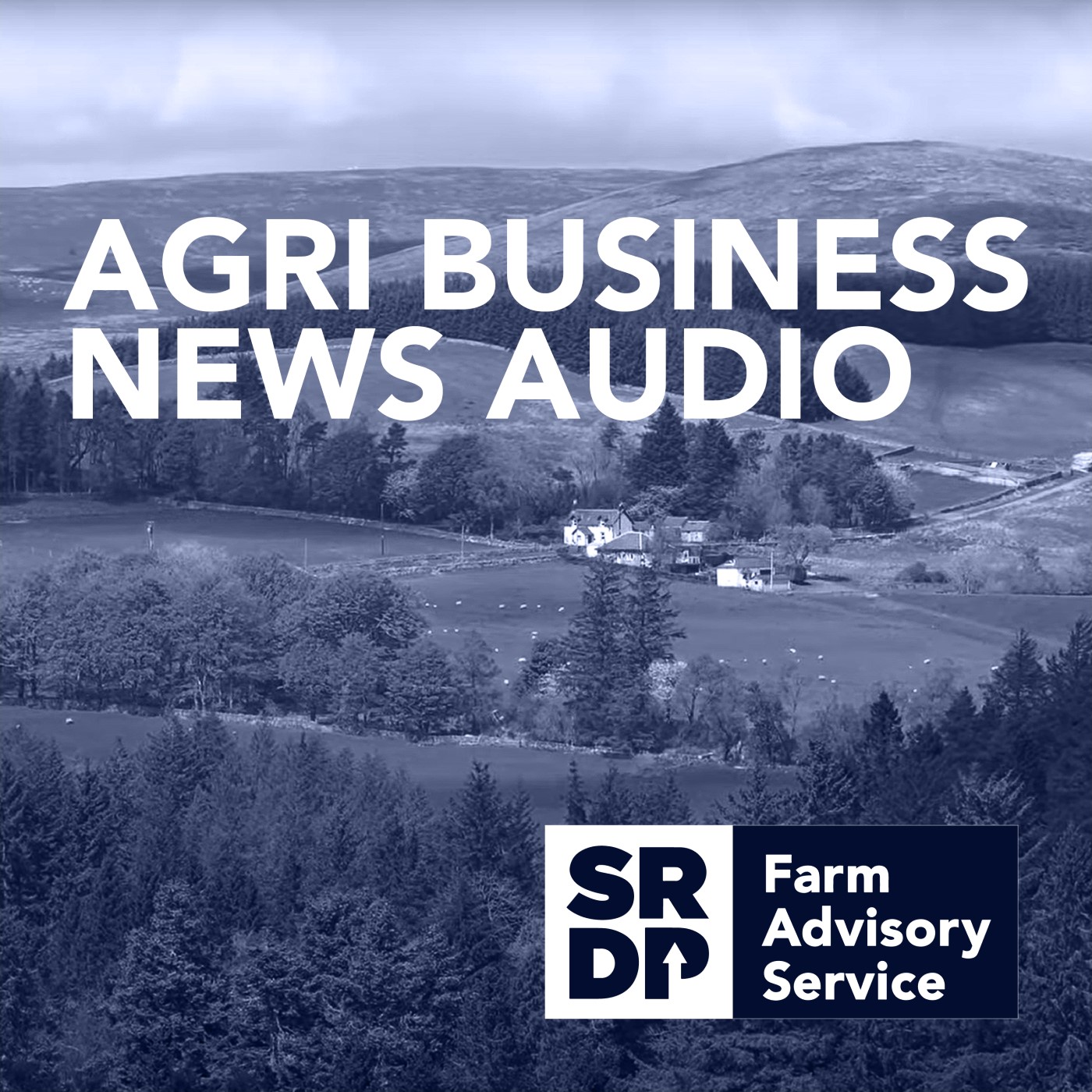 Agribusiness News July 2023: A spotlight on potatoes, having bees on farmland, soil compaction and grassland yield loss and the Scottish Government’s progress report on the 2023 climate change plan