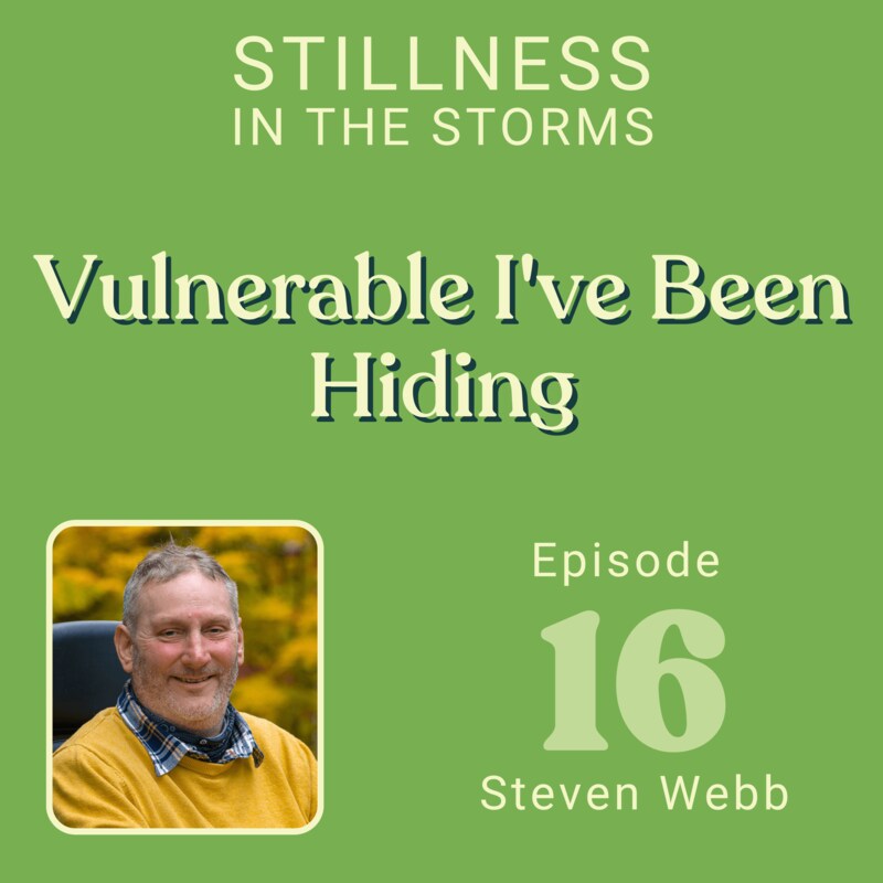 Artwork for podcast Stillness in the Storms