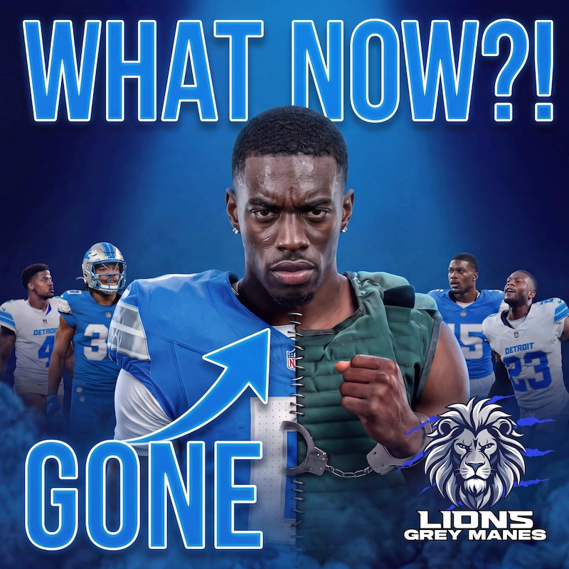 Artwork for podcast Lions Grey Manes